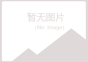 河池晓夏能源有限公司